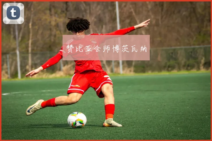 赞比亚会师博茨瓦纳