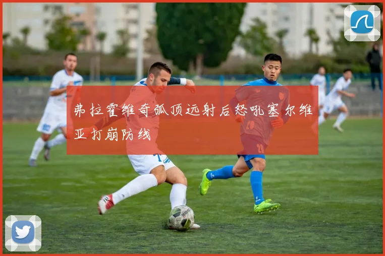 弗拉霍维奇弧顶远射后怒吼塞尔维亚打崩防线