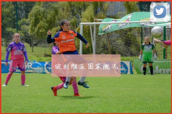 玻利维亚国家概况