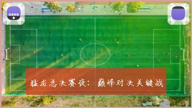 猛龙总决赛夜：巅峰对决关键战