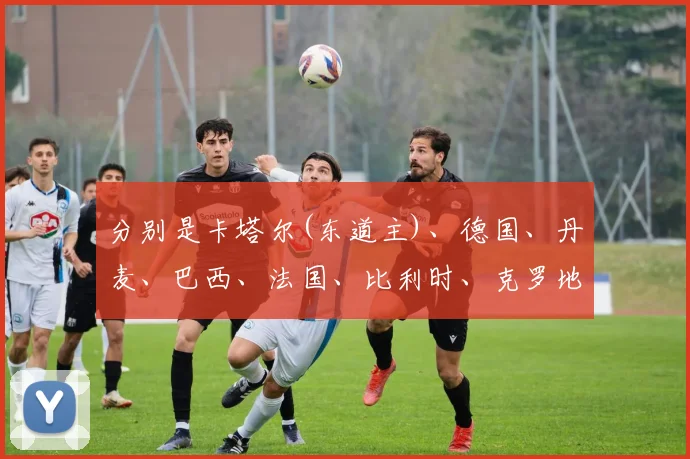 分别是卡塔尔(东道主)、德国、丹麦、巴西、法国、比利时、克罗地亚、西班牙、塞尔维亚、英格兰、瑞士、荷兰和阿根廷