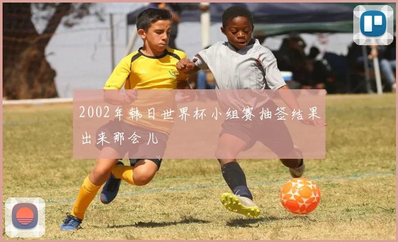 2002年韩日世界杯小组赛抽签结果出来那会儿