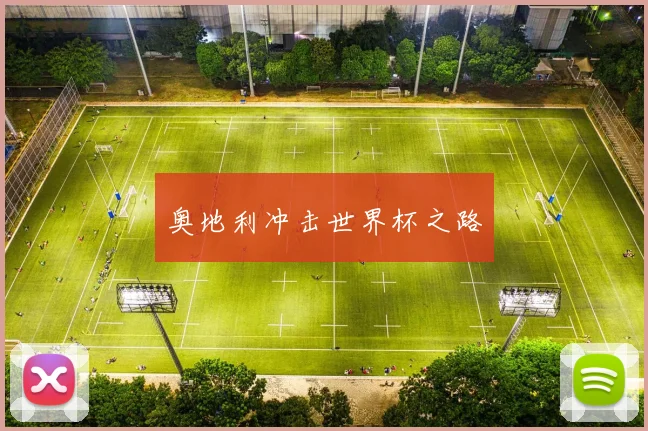 奥地利冲击世界杯之路