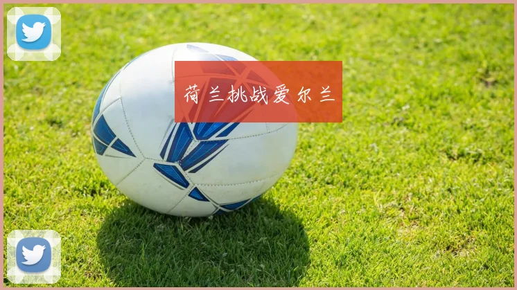 荷兰挑战爱尔兰