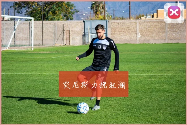 突尼斯力挽狂澜