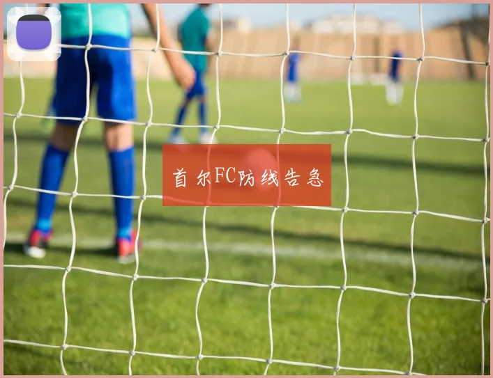 首尔FC防线告急