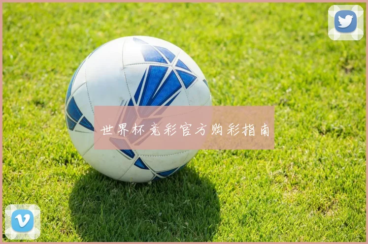 世界杯竞彩官方购彩指南