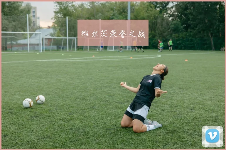 维尔茨荣誉之战