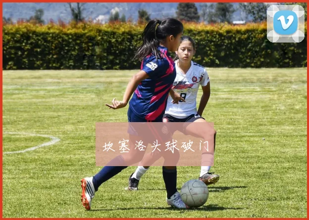 坎塞洛头球破门