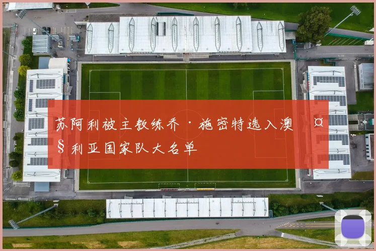 苏阿利被主教练乔·施密特选入澳大利亚国家队大名单