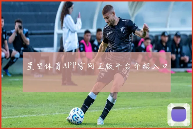 星空体育APP官网正版平台介绍入口