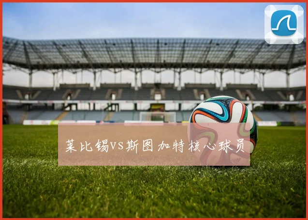 莱比锡vs斯图加特核心球员